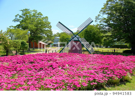初夏の風景 94941583