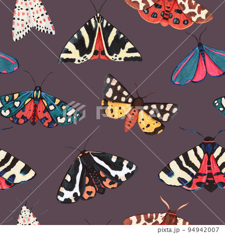 Seamless pattern with garden tiger moths, Arctiidae family. Watercolor illustration of beautiful night mots, detailed and isolated on white background 94942007