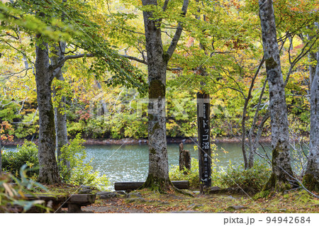 秋のドッコ沼（西蔵王）　紅葉の風景　山形県山形市　　 94942684