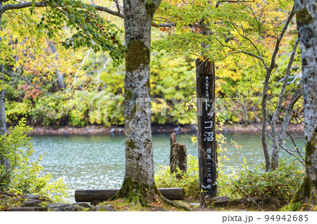 秋のドッコ沼(西蔵王) 紅葉の風景 山形県山形市   秋のドッコ沼(西蔵王) 紅葉の風景 山形県山形市   94942685