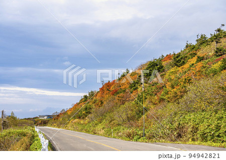 秋の蔵王エコーライン(宮城蔵王) 紅葉の風景 宮城県七ヶ宿町 秋の蔵王エコーライン(宮城蔵王) 紅葉の風景 宮城県七ヶ宿町 94942821