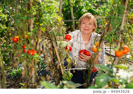 Retired woman working in homestead 94943026