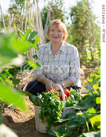 Senior farmer woman with a basket of vegetables in the garden Senior farmer woman with a basket of vegetables in the garden 94943169