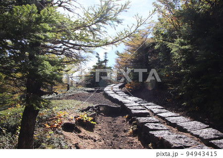 富士山奥庭遊歩道 富士山奥庭遊歩道 94943415