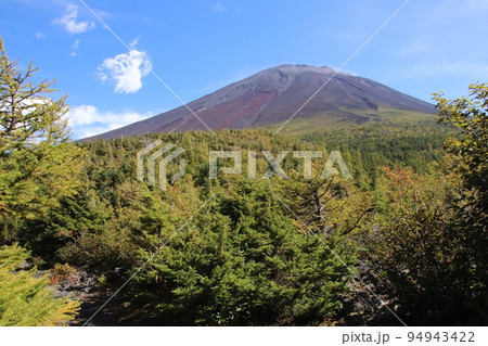 富士山奥庭遊歩道 富士山奥庭遊歩道 94943422