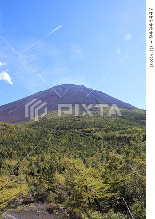 富士山奥庭遊歩道 富士山奥庭遊歩道 94943447
