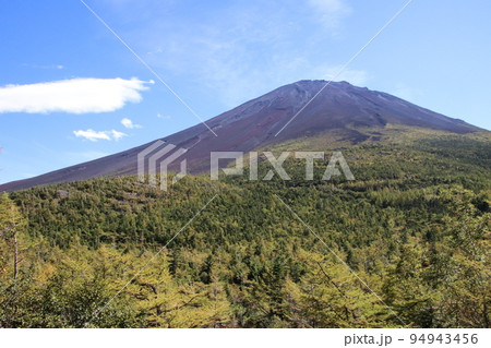 富士山奥庭遊歩道 94943456