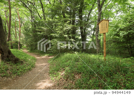 埼玉県比企郡滑川町の森林公園に残る古鎌倉街道の道 94944149