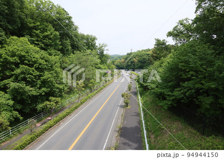 埼玉県比企郡滑川町の森林公園を横切る県道 埼玉県比企郡滑川町の森林公園を横切る県道 94944150