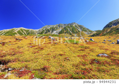 紅葉見頃な立山黒部アルペンルート 室堂平からの立山連峰 紅葉見頃な立山黒部アルペンルート 室堂平からの立山連峰 94944231