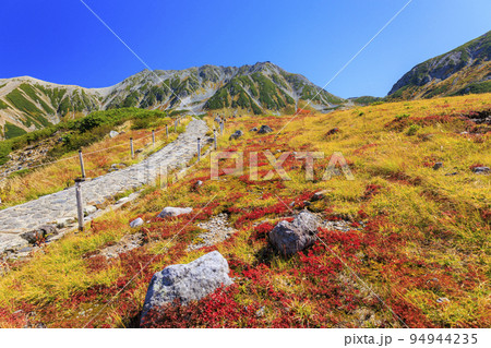 紅葉見頃な立山黒部アルペンルート　室堂平からの立山連峰 94944235