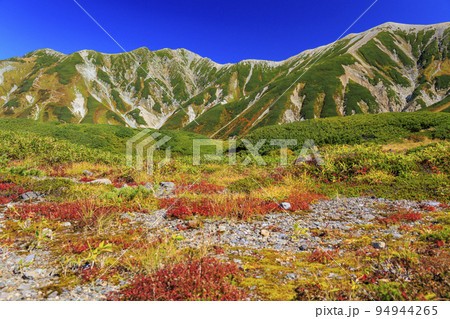 紅葉見頃な立山黒部アルペンルート 室堂平からの立山連峰 紅葉見頃な立山黒部アルペンルート 室堂平からの立山連峰 94944265