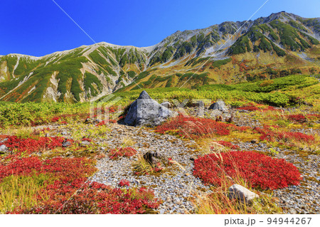 紅葉見頃な立山黒部アルペンルート 室堂平からの立山連峰 紅葉見頃な立山黒部アルペンルート 室堂平からの立山連峰 94944267