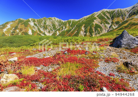 紅葉見頃な立山黒部アルペンルート　室堂平からの立山連峰 94944268