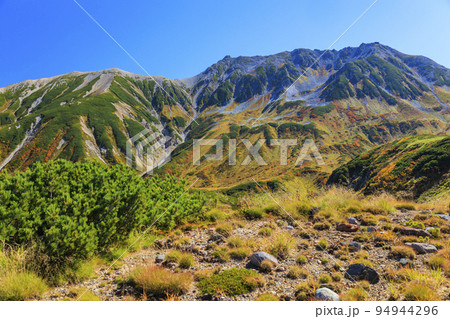 紅葉見頃な立山黒部アルペンルート　室堂平からの立山連峰 94944296