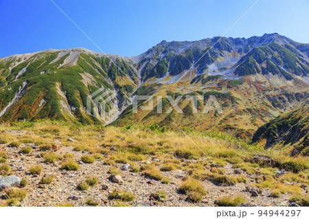 紅葉見頃な立山黒部アルペンルート　室堂平からの立山連峰 94944297