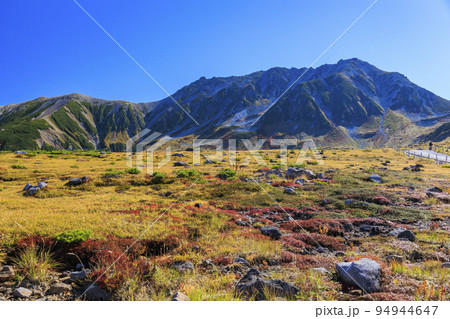 紅葉見頃な立山黒部アルペンルート　室堂平からの立山連峰 94944647