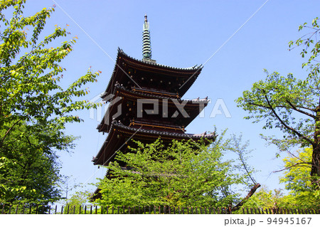 寛永寺　五重塔 94945167