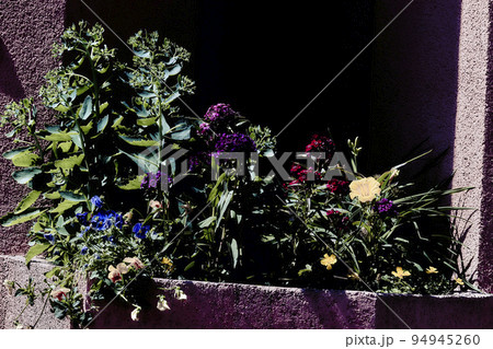 Stone bed of colorful flowers in the moonlight Stone bed of colorful flowers in the moonlight 94945260