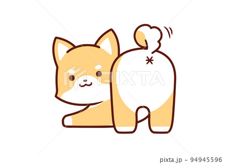 お尻上げする柴犬① 94945596