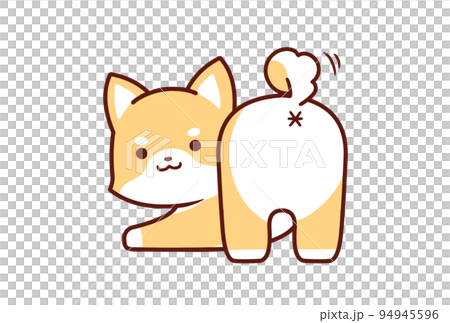 お尻上げする柴犬① 94945596