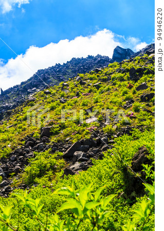 新緑の立岩の峰からの平成新山 【長崎県雲仙市】 新緑の立岩の峰からの平成新山 【長崎県雲仙市】 94946220