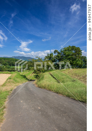 清涼な青空と田畑の風景 初秋の小山町竹之下 清涼な青空と田畑の風景 初秋の小山町竹之下 94947937