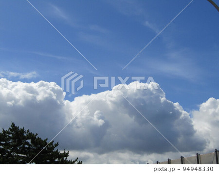 稲毛海海上空の青い空と白い雲 94948330