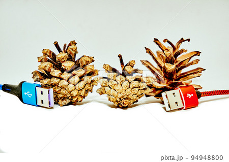 Two red blue usb connecting plugs between fir cones on a white background Two red blue usb connecting plugs between fir cones on a white background 94948800