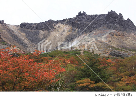 那須 姑ヶ平周辺の紅葉4 那須 姑ヶ平周辺の紅葉4 94948895