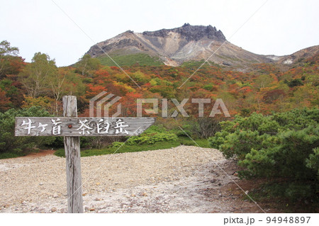 那須　姑ヶ平周辺の紅葉6 94948897