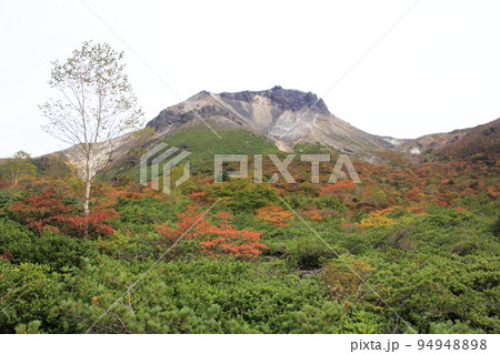 那須　姑ヶ平周辺の紅葉7 94948898