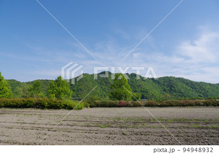 琵琶湖のほとり 曽根沼湖岸 緑地公園からの荒神山の眺め 琵琶湖のほとり 曽根沼湖岸 緑地公園からの荒神山の眺め 94948932