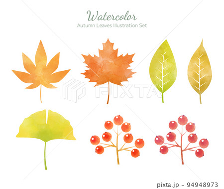 手描き水彩風・秋の葉のイラストセット 94948973