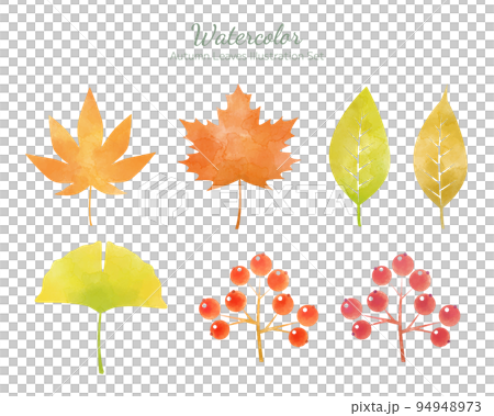 手描き水彩風・秋の葉のイラストセット 94948973