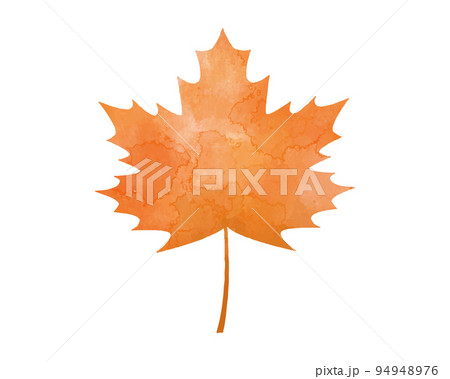 手描き水彩風・秋の葉のイラスト　サトウカエデ　紅葉 94948976