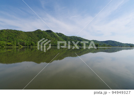 琵琶湖のほとり 曽根沼湖岸 緑地公園からの荒神山の眺め 琵琶湖のほとり 曽根沼湖岸 緑地公園からの荒神山の眺め 94949327