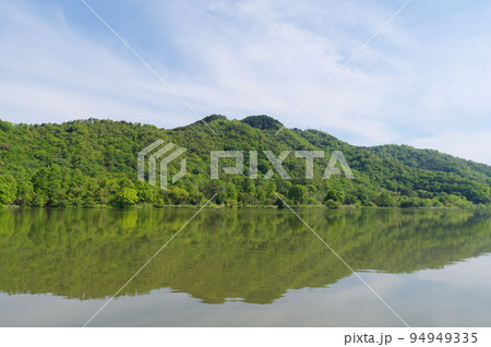 琵琶湖のほとり 曽根沼湖岸 緑地公園からの荒神山の眺め 琵琶湖のほとり 曽根沼湖岸 緑地公園からの荒神山の眺め 94949335