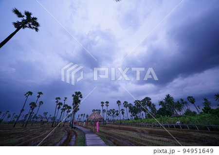 Landscape of Pathum Thani, Thailand(タイの田んぼカフェの風景) Landscape of Pathum Thani, Thailand(タイの田んぼカフェの風景) 94951649