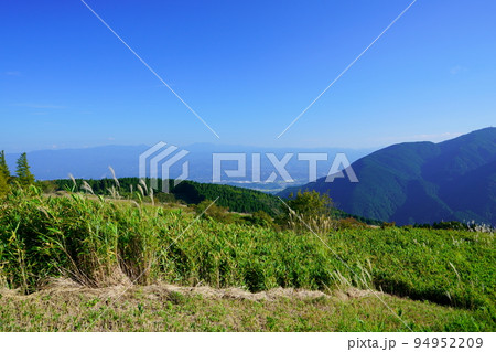 葛城高原のススキの原と笹の原・背景金剛山 葛城高原のススキの原と笹の原・背景金剛山 94952209