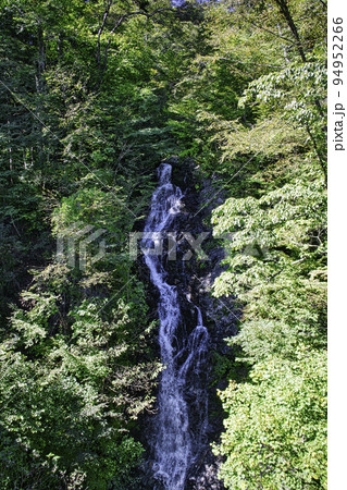 東京都　檜原都民の森　三頭大滝 (みとうおおたき） 94952266