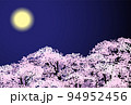 夜桜　桜　紺 94952456