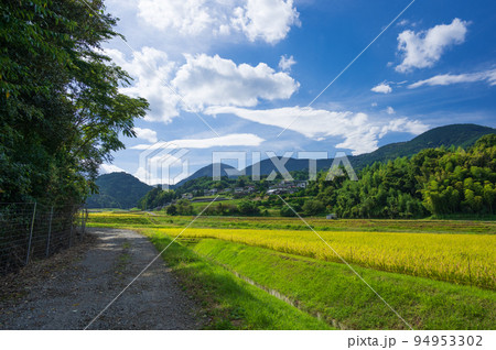 内山の田んぼ風景 94953302