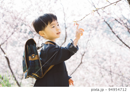 春の桜と制服の幼稚園児 94954712