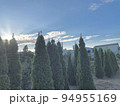 青空と木々 94955169