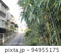 細い道と竹林 94955175
