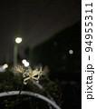 ライトに浮かび上がる一輪の花 94955311