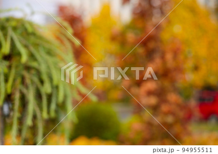 Bright autumn background. Defocused foliage is green and bright yellow 94955511