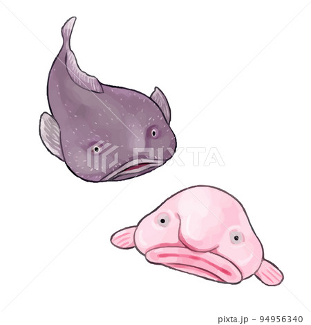 Blob fish stock vector. Illustration of bathypelagic - 89120181