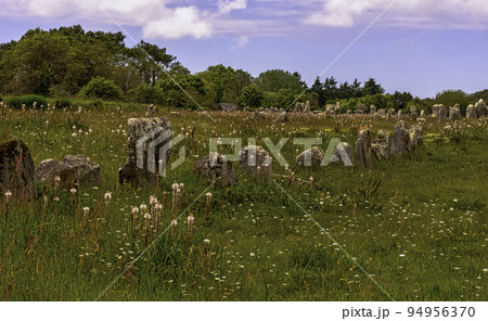 Carnac stones in Carnac, France 94956370